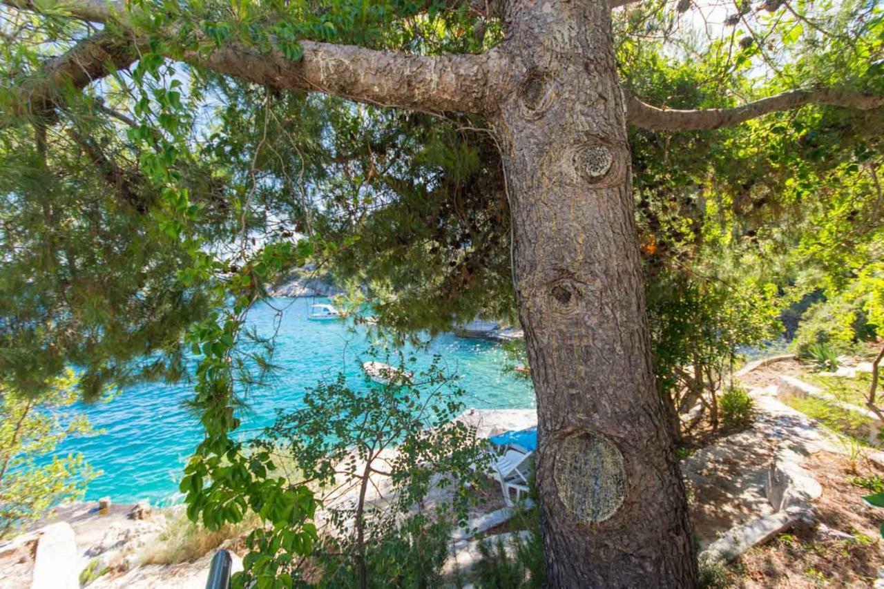 Apartmán Marinana Ražanj